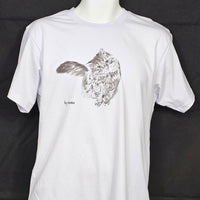 TS- "Mini Tora"