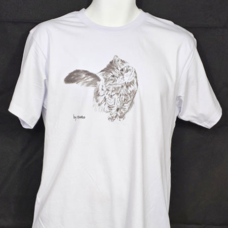 TS- "Mini Tora"