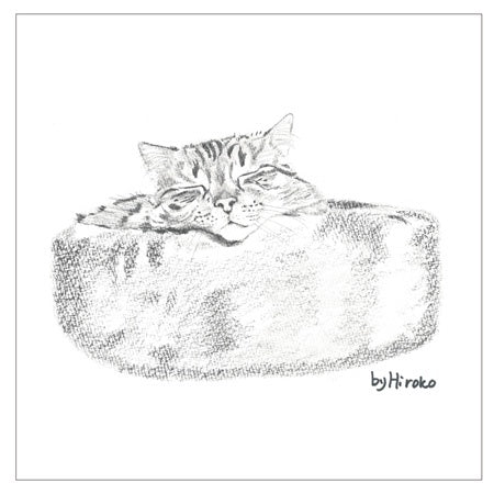 Face Towel mini Tora in Basket